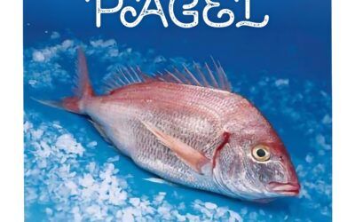 Pesca al Pagel